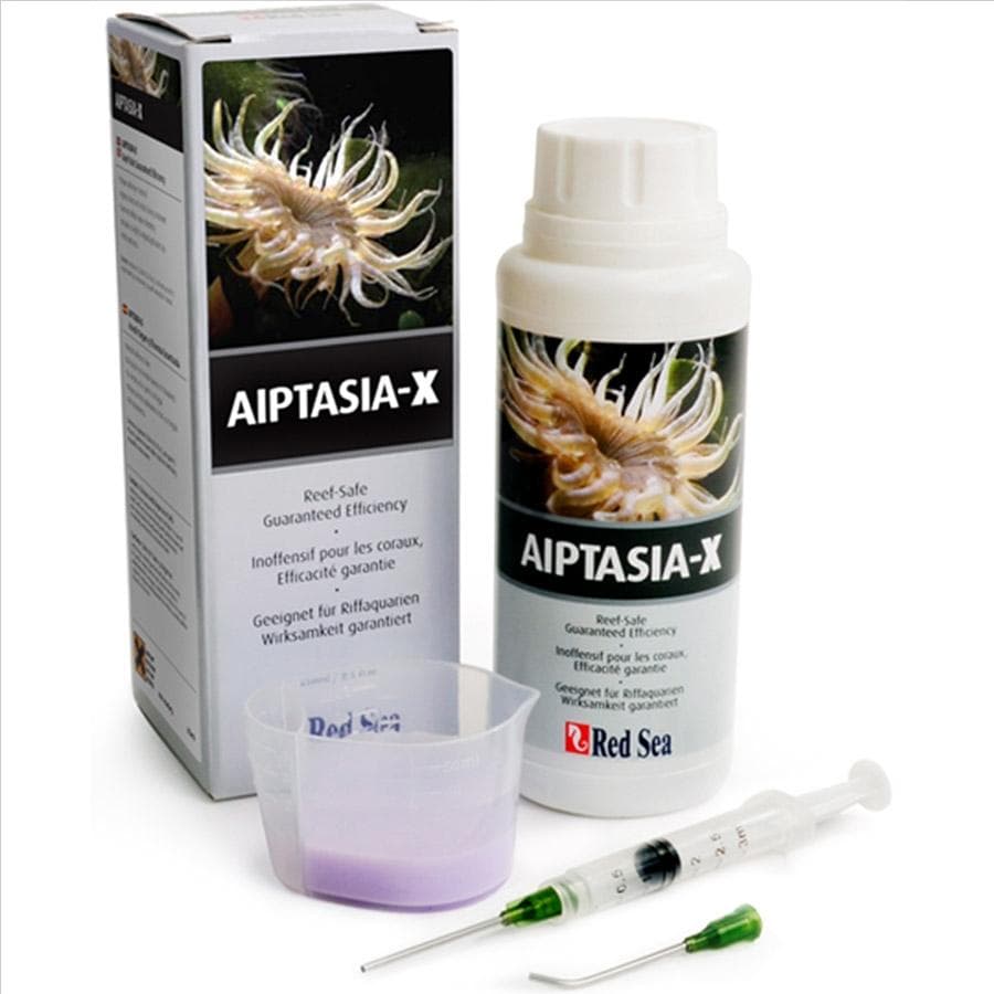 Aiptasia-X
