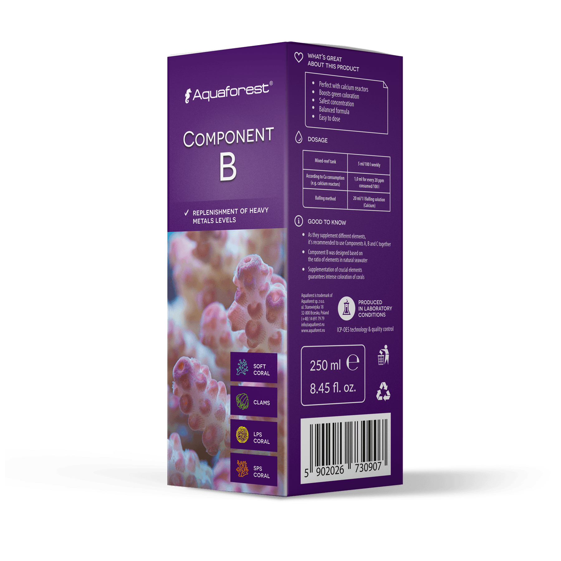 Component B