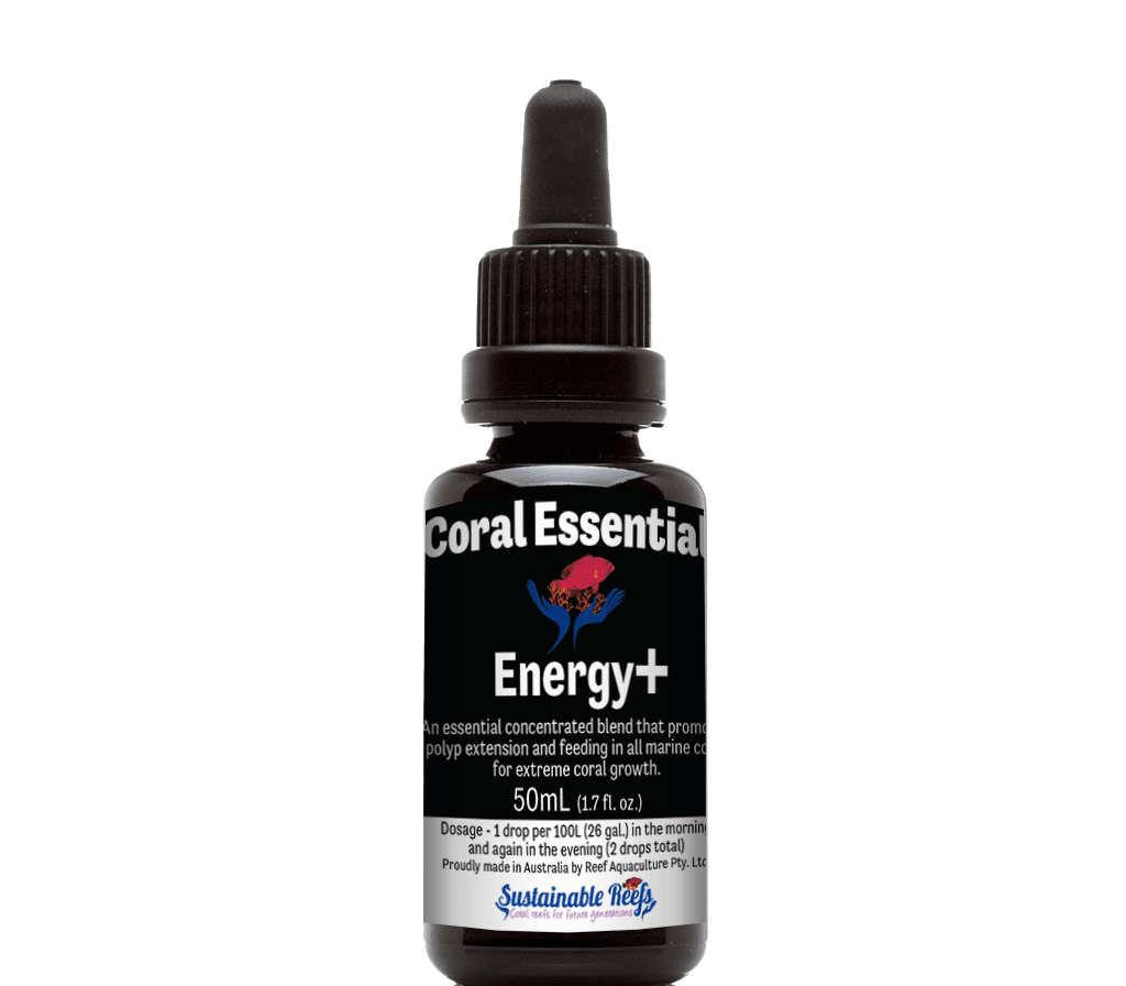 Energy+