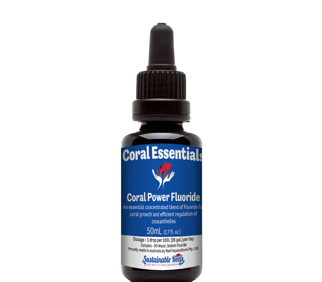 Coral Power Fluoride