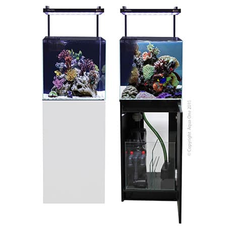 Mini Reef 90