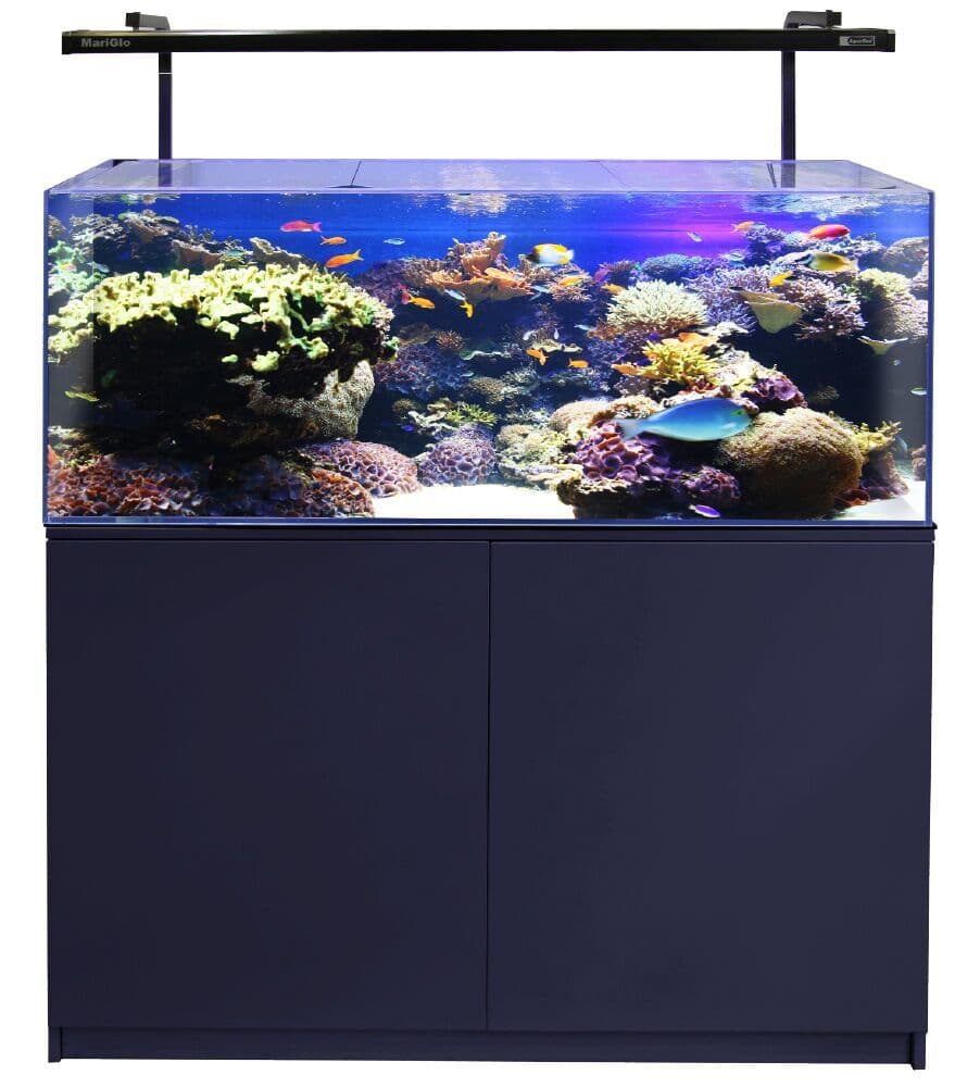 Mini Reef 215