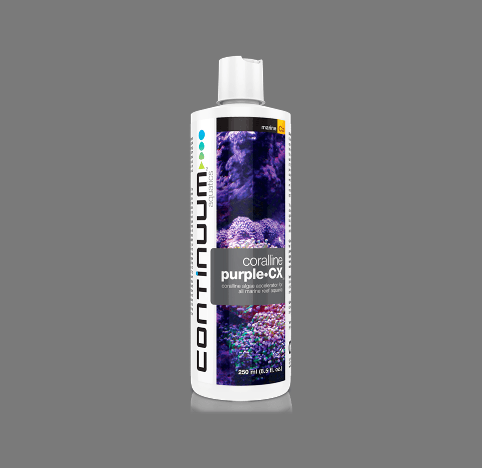 Coralline Purple CX