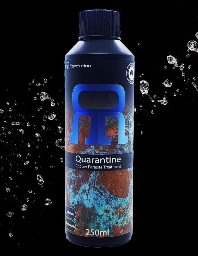 Quarantine