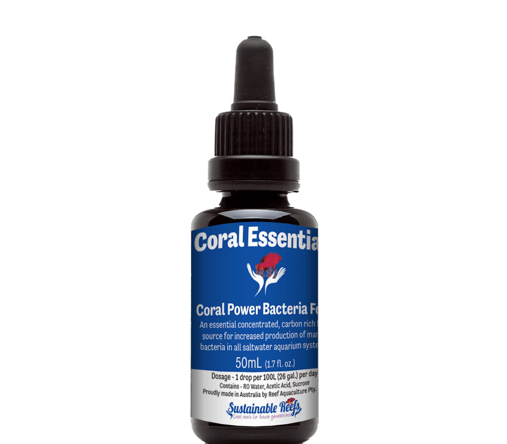 Coral Power Bacteria Food
