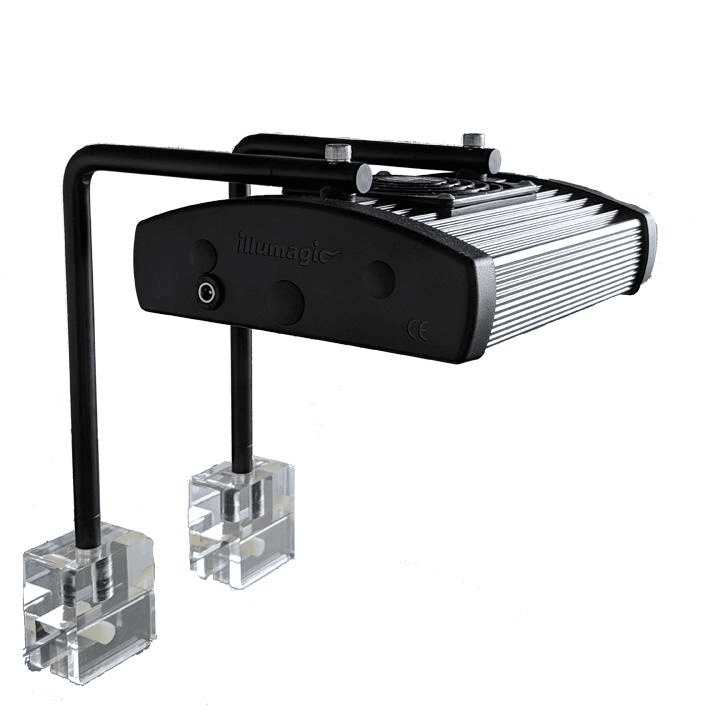 Blaze X Mini Nano Arms 2