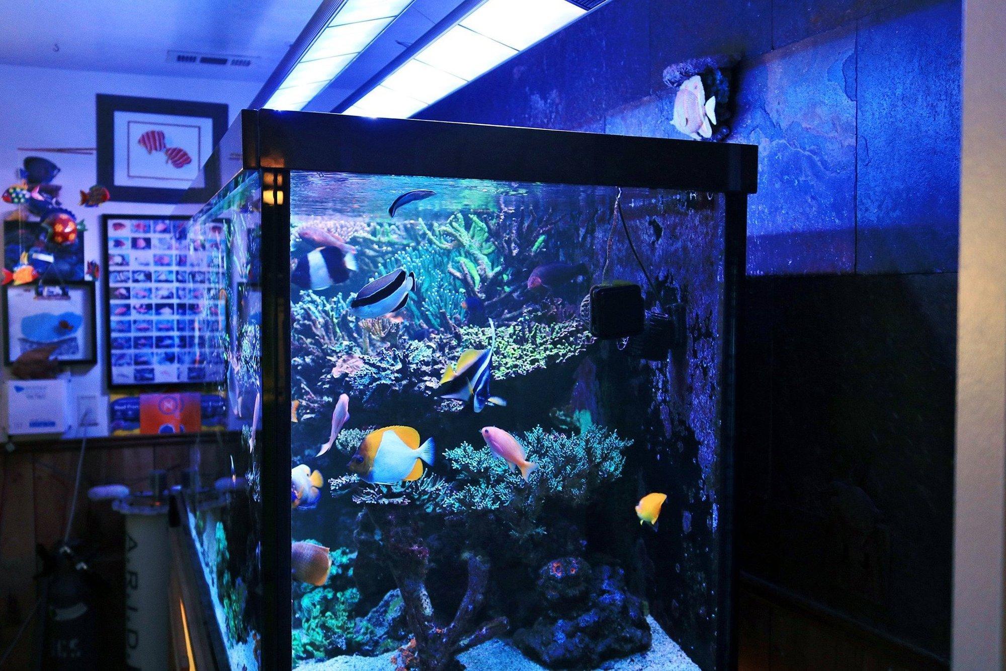 Dual Angled Hanging Mount 5