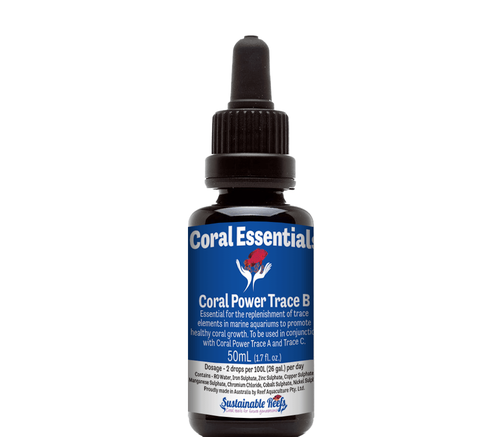 Coral Power Trace B