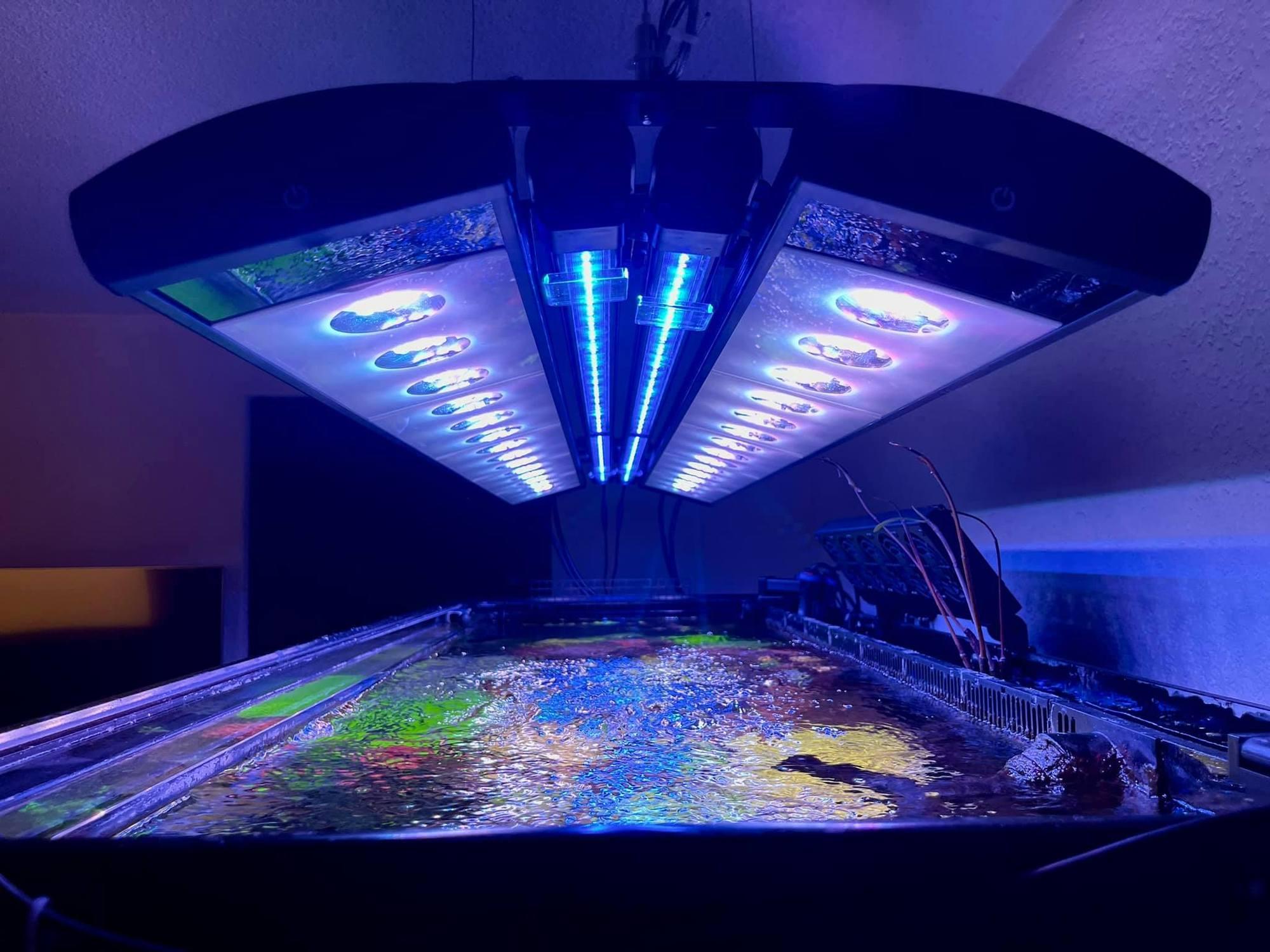 Dual Angled Hanging Mount 2