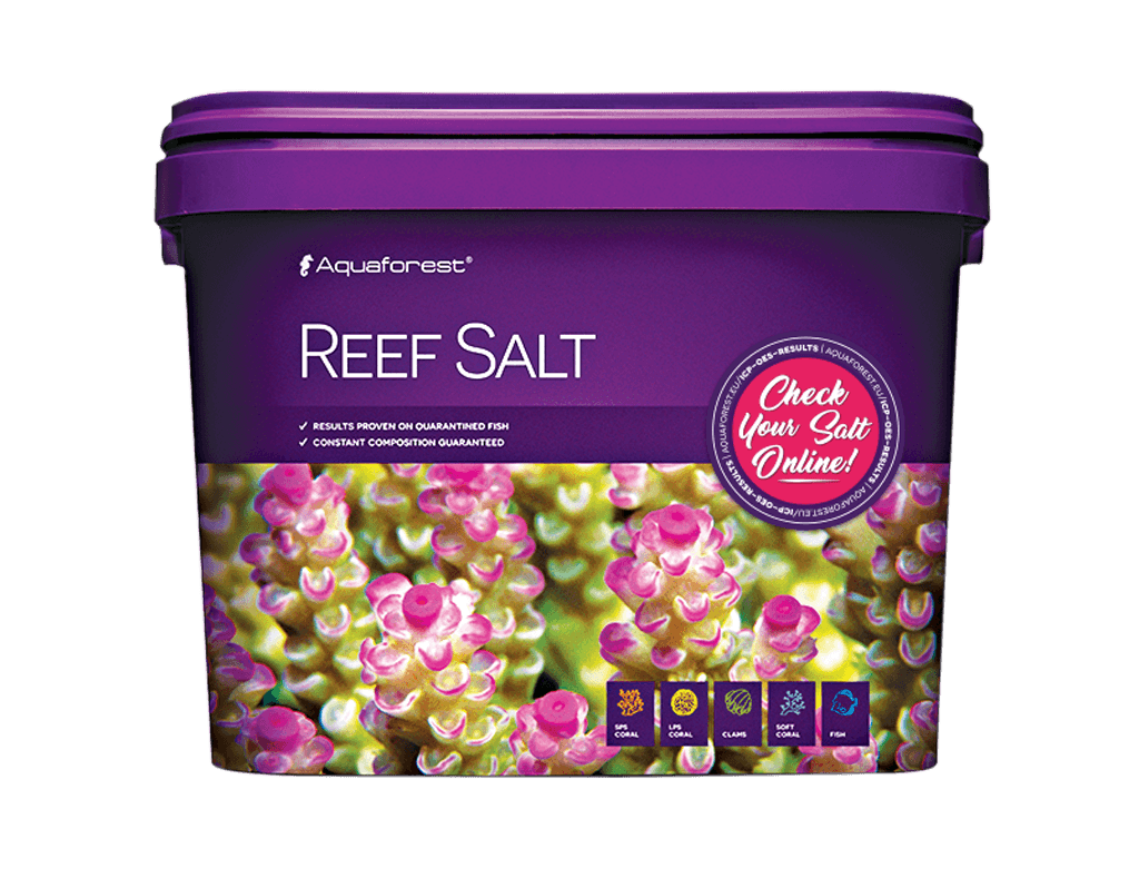 Reef Salt