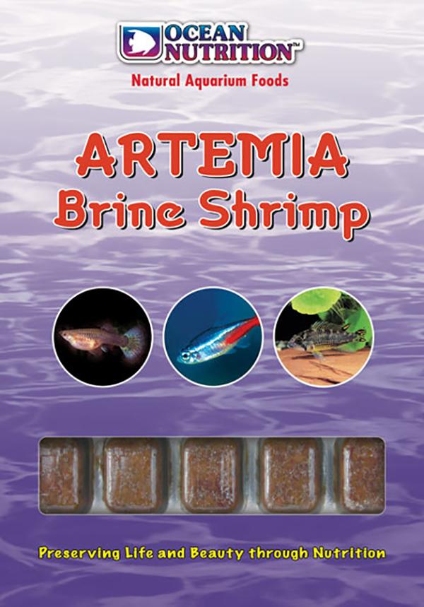 Frozen Artemia Brine Shrimp