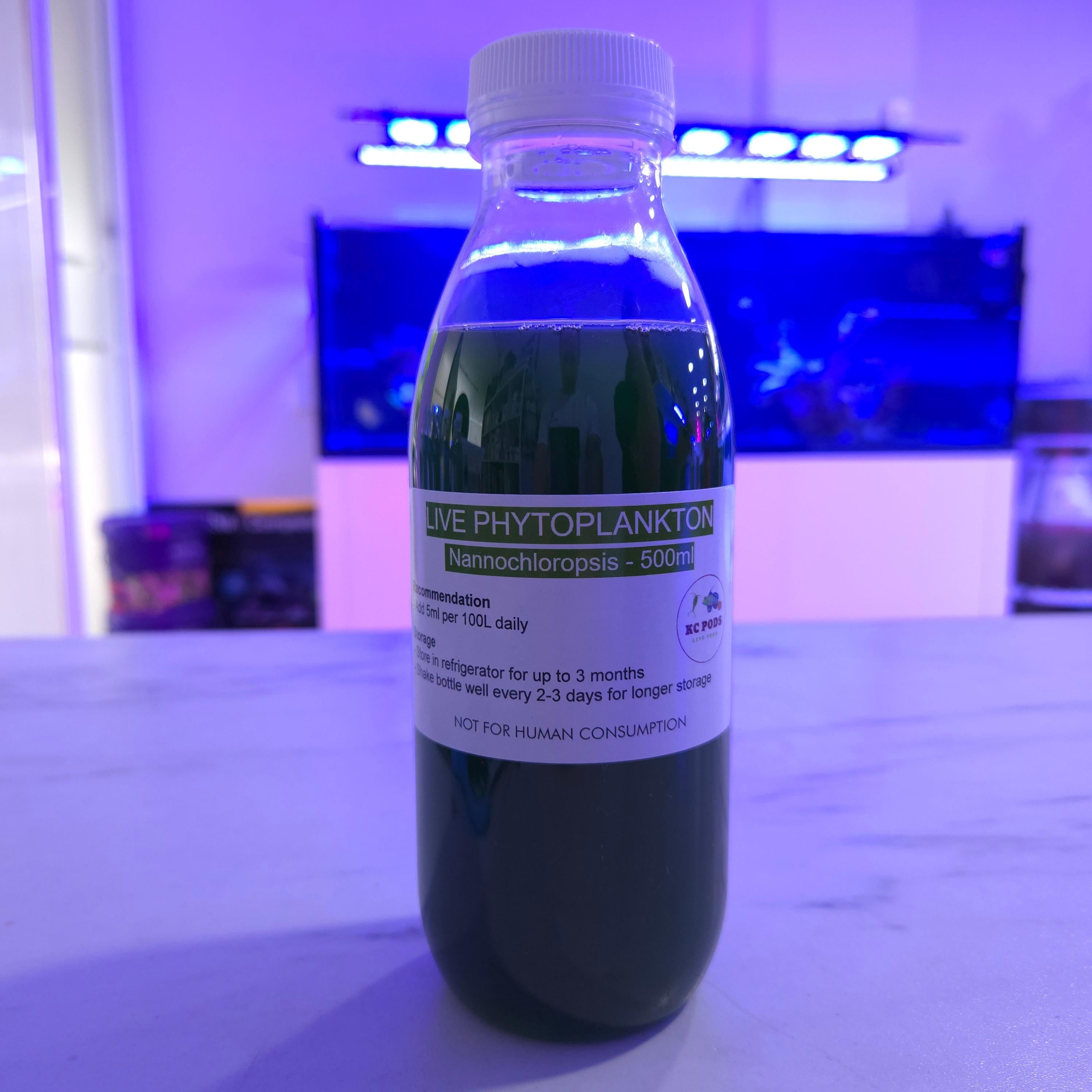 Live Phytoplankton - 500ml