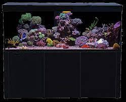 Aqua Reef 525