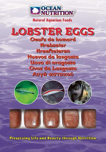 Frozen Lobster Eggs