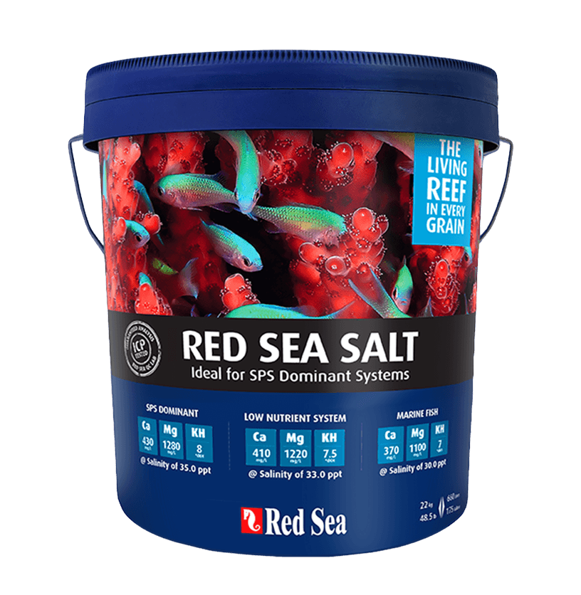 Red Sea Salt 3