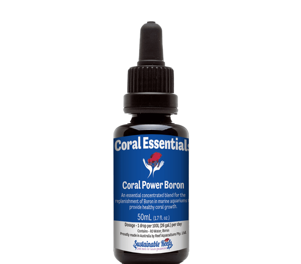 Coral Power Boron