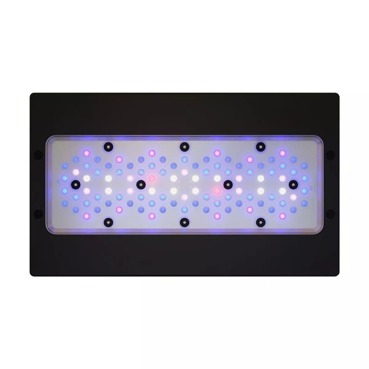 Radion XR30 G6 Blue