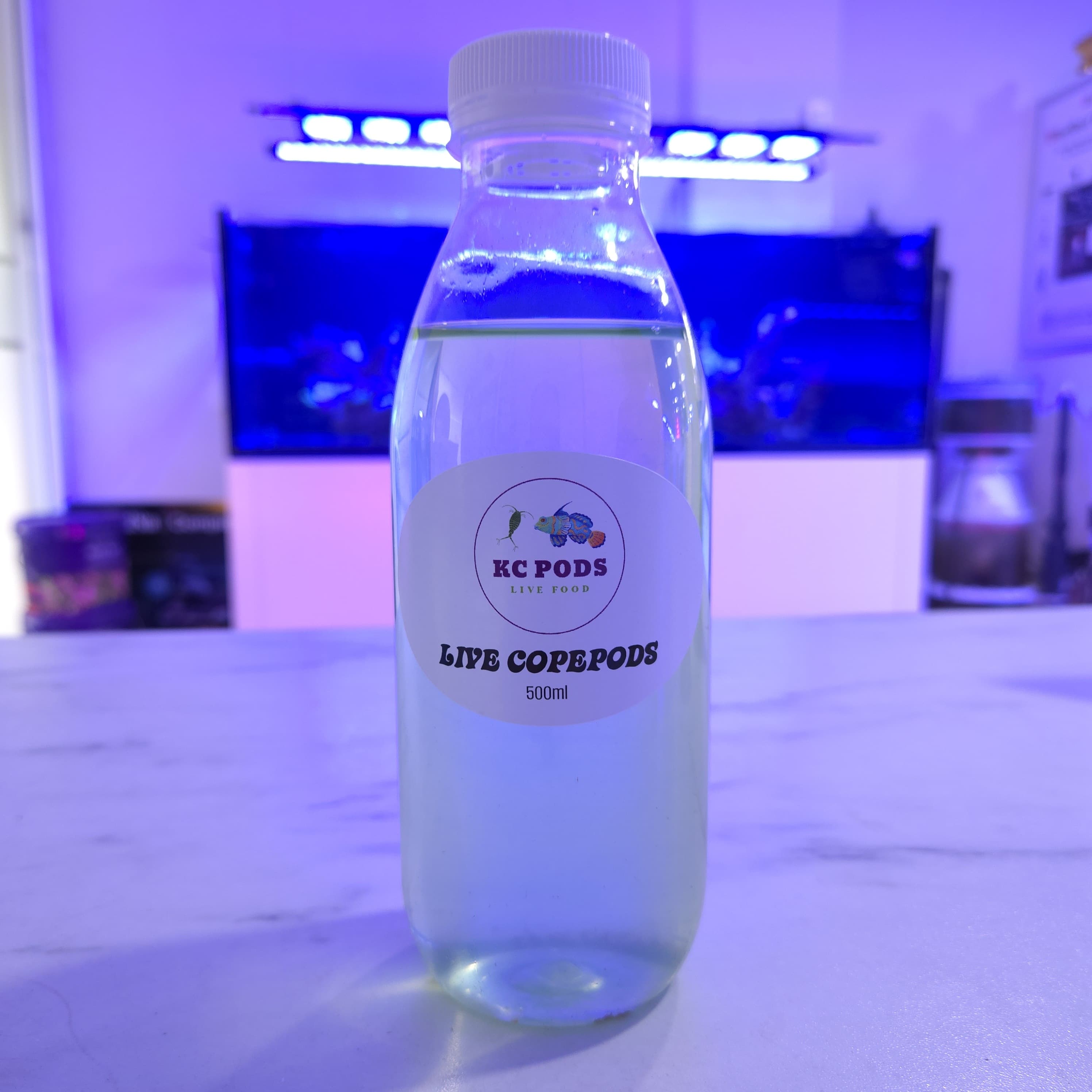 Live Copepods